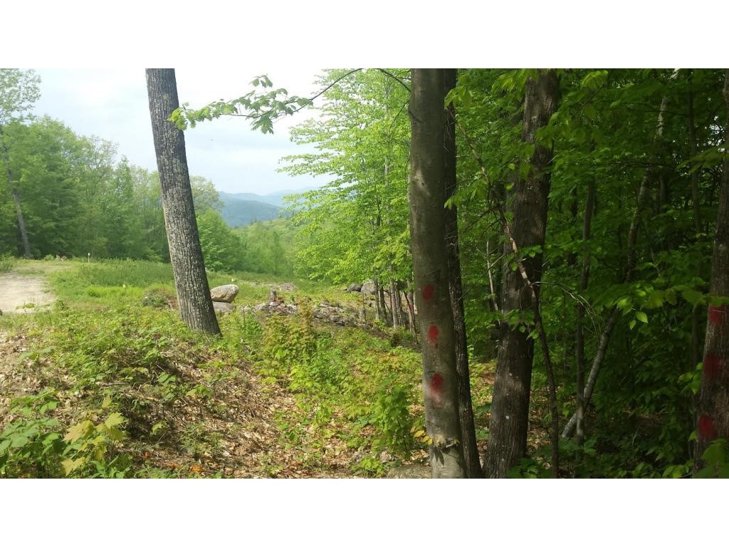 247-026 Lane Road Holderness, NH 03245 - Photo 2 of 24