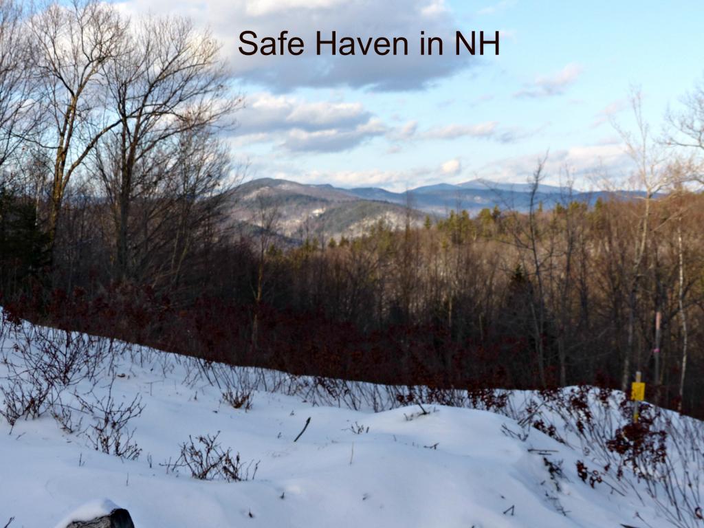 247-026 Lane Road Holderness, NH 03245 - Photo 22 of 24