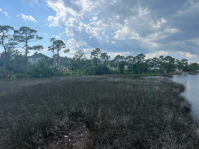 a view of a field with trees in background
