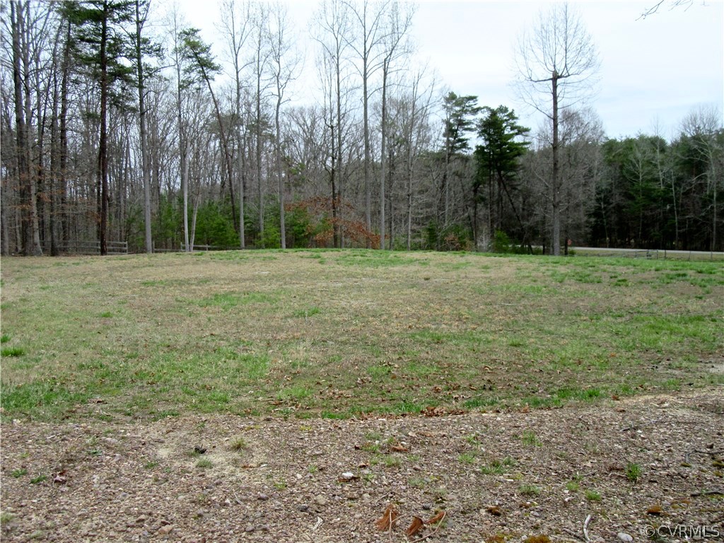 3092 Lowry Road Columbia, VA 23038 - Photo 29 of 34 a big yard with trees
