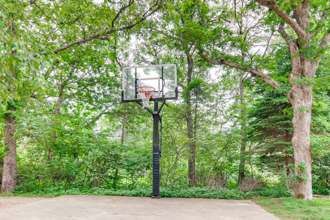 345 N Road Chilmark, MA 02535 - Photo 26 of 26 a picture of a tree