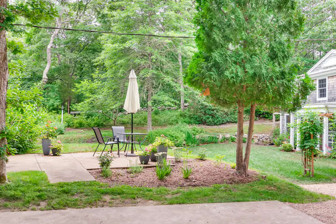345 N Road Chilmark, MA 02535 - Photo 4 of 26 a view of a park with plants and large trees