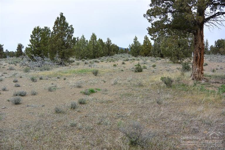 22201 Southwest Morgan Road Bend, OR 97701 - Photo 15 of 19 Additional Photo