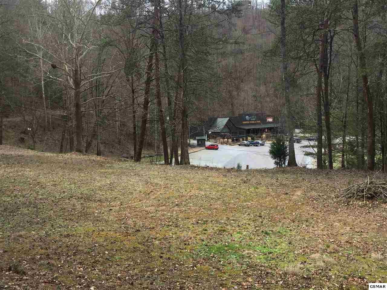 1 Wears Valley Road Sevierville, TN 37862 - Photo 4 of 6