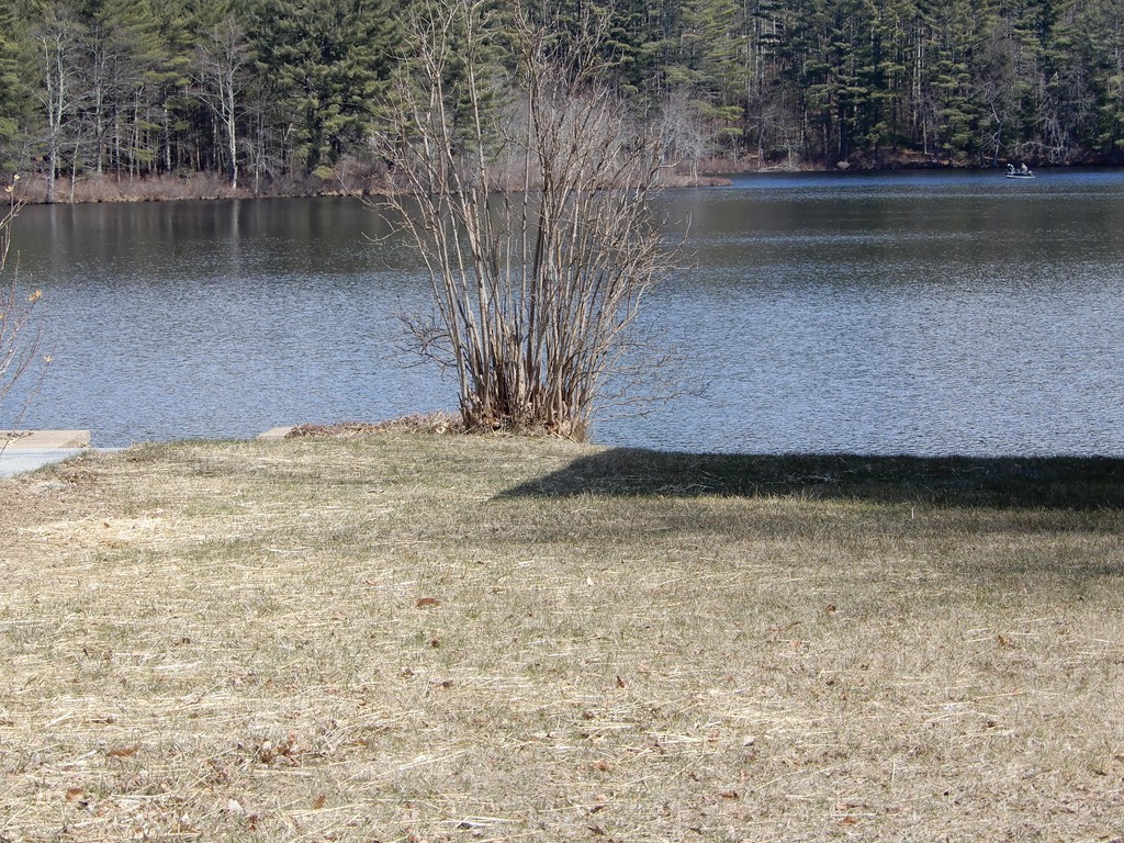 Lot 5 Hardwick Pond Road Hardwick, MA 01082 - Photo 7 of 12 Gallery Image 7