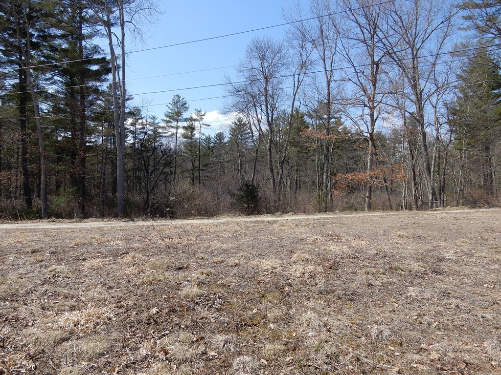 Lot 5 Hardwick Pond Road Hardwick, MA 01082 - Photo 10 of 12 Gallery Image 10