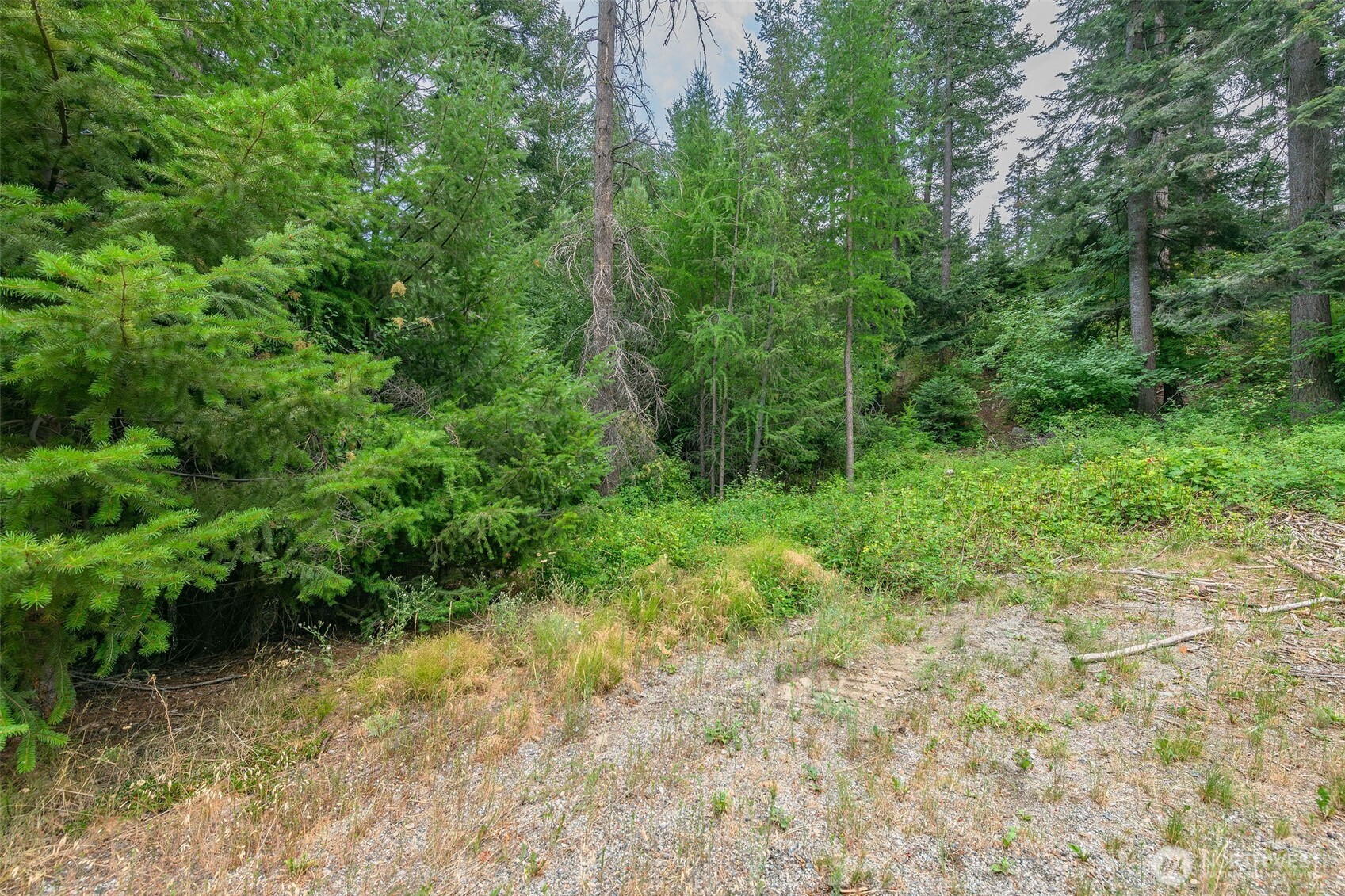 6409 Forest Ridge Drive Wenatchee, WA 98801 - Photo 5 of 30