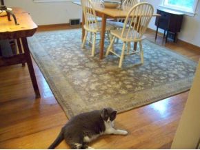 91 Shaw Road Conklin, NY 13748 - Photo 8 of 9 Gallery Image 8