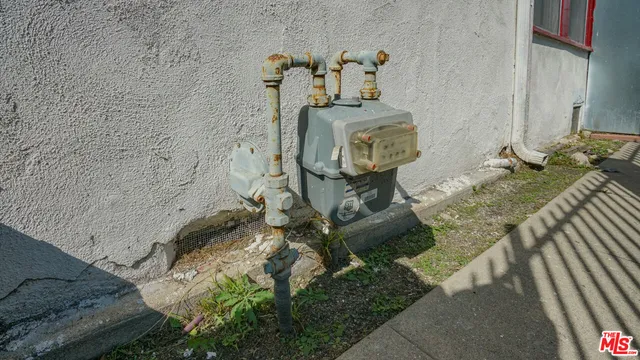 a close up of a plant in a garden