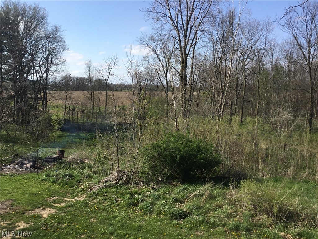 4631 Rome Greenwich Road Greenwich, OH 44837 - Photo 15 of 35