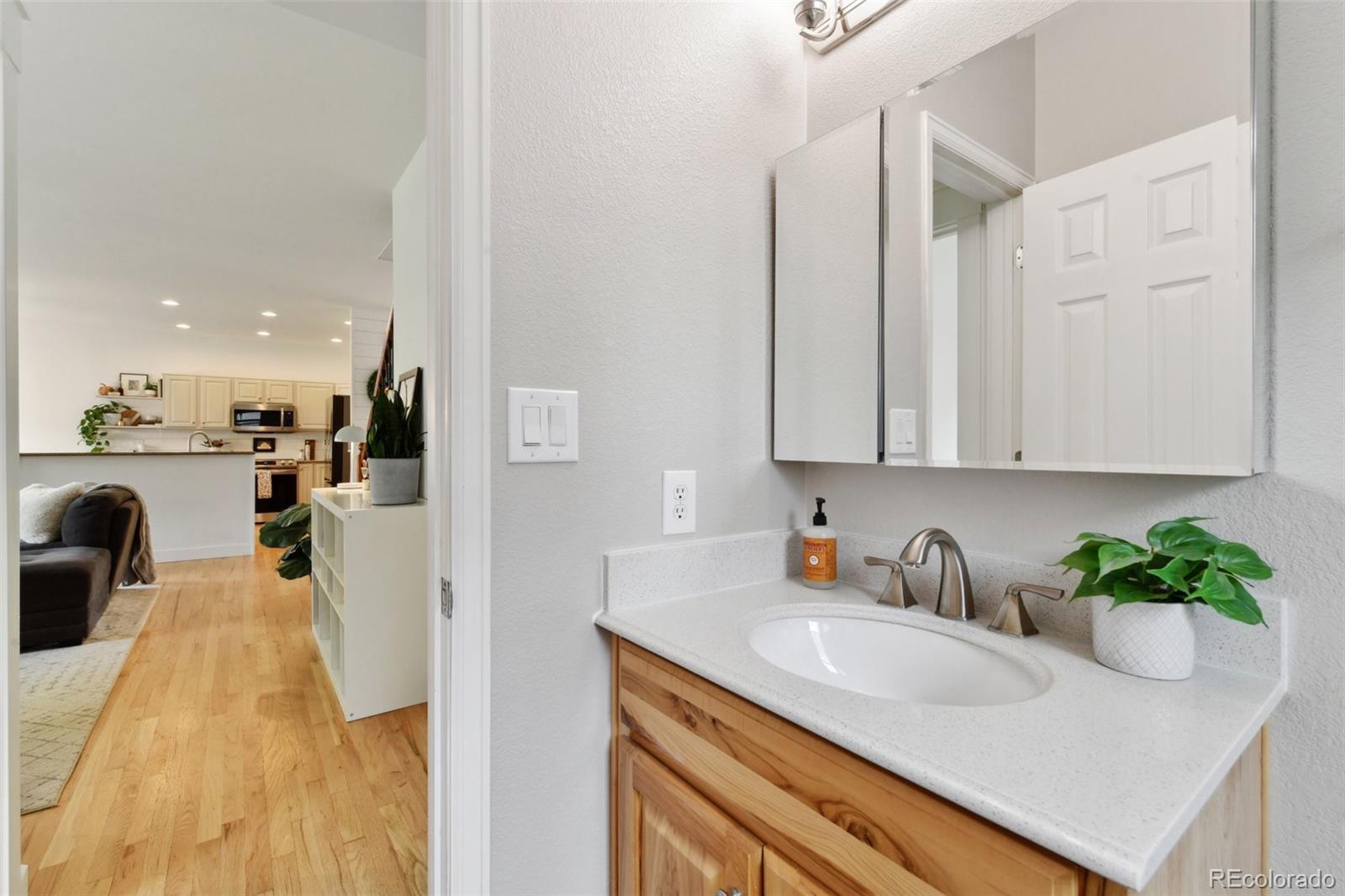 1819 Spring Water Lane Highlands Ranch, CO 80129 - Photo 17 of 40