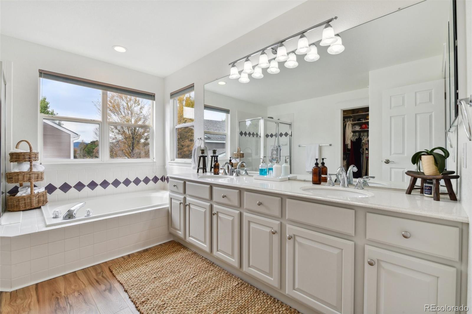 1819 Spring Water Lane Highlands Ranch, CO 80129 - Photo 28 of 40