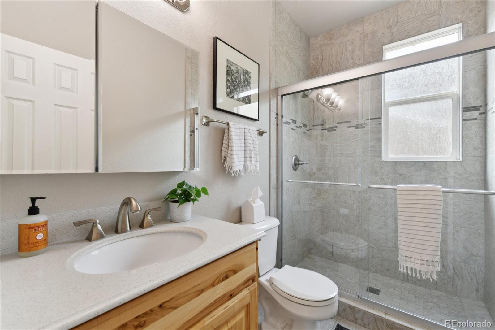 1819 Spring Water Lane Highlands Ranch, CO 80129 - Photo 33 of 40