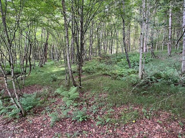 744 County Road 38 Decatur, NY 12197 - Photo 63 of 71 IMG_5874