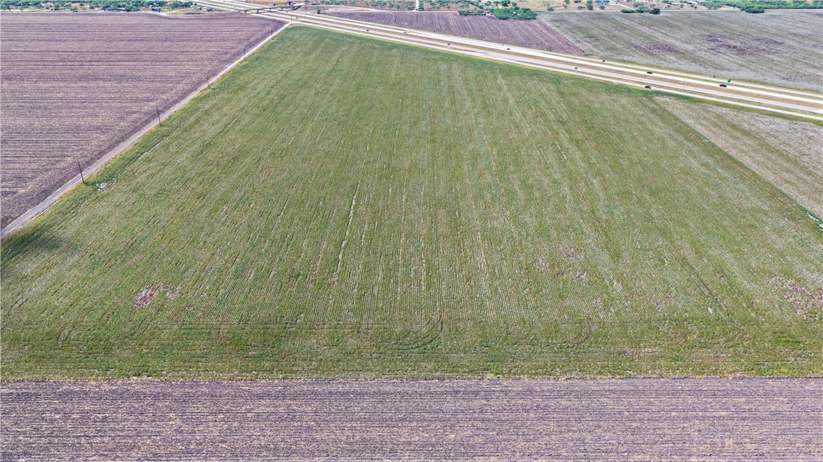 0 County Rd 1726 & Hwy 37 Odem, TX 78370 - Photo 4 of 10 a view of a yard