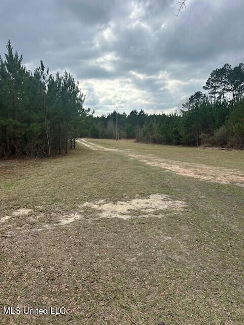 3339 Mound Road Northeast Wesson, MS 39191 - Photo 11 of 15 m10