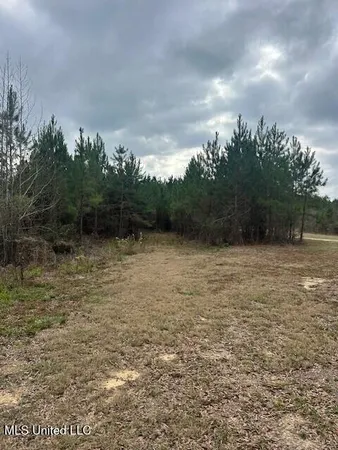 $189,000 | 3339 Mound Road Northeast, Wesson, MS 39191