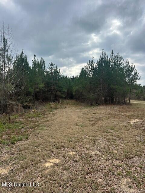 3339 Mound Road Northeast Wesson, MS 39191 - Photo 12 of 15 m11