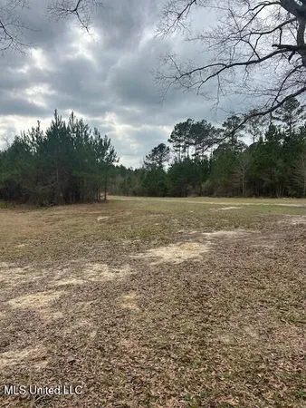 $189,000 | 3339 Mound Road Northeast, Wesson, MS 39191
