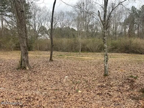 $189,000 | 3339 Mound Road Northeast, Wesson, MS 39191