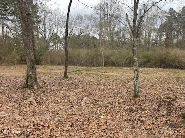 3339 Mound Road Northeast Wesson, MS 39191 - Photo 14 of 15 m13