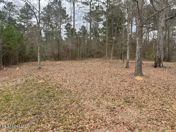 $189,000 | 3339 Mound Road Northeast, Wesson, MS 39191
