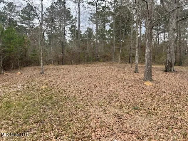 $184,900 | 3339 Mound Road Northeast, Wesson, MS 39191