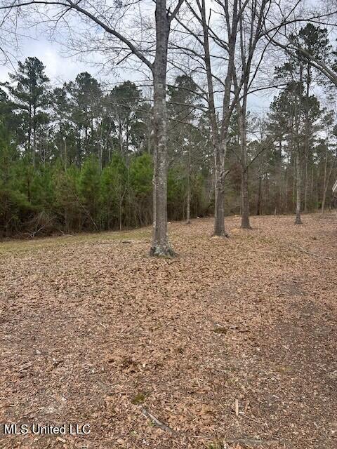 3339 Mound Road Northeast Wesson, MS 39191 - Photo 10 of 15 m9