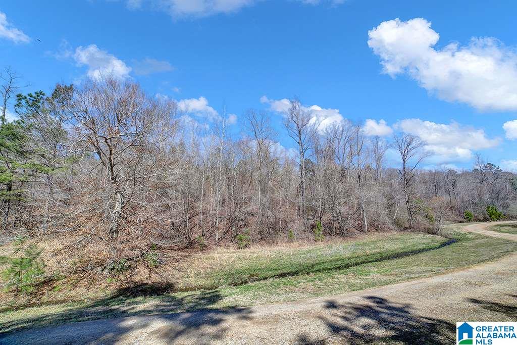 39080 Highway 231 Steele, AL 35987 - Photo 4 of 37