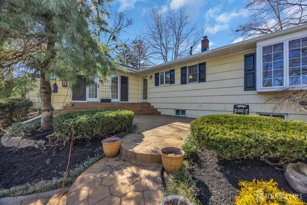 a view of a park with large trees