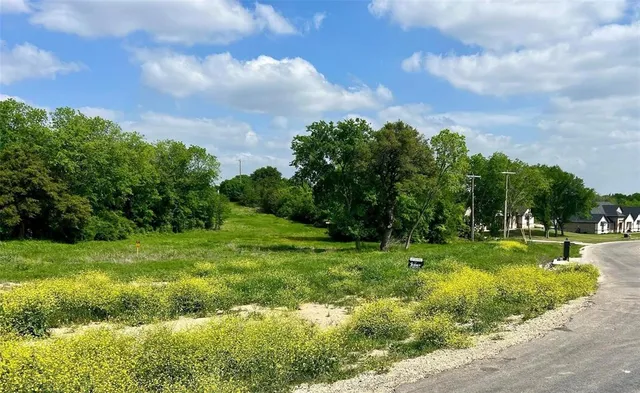 a view of a park with large trees