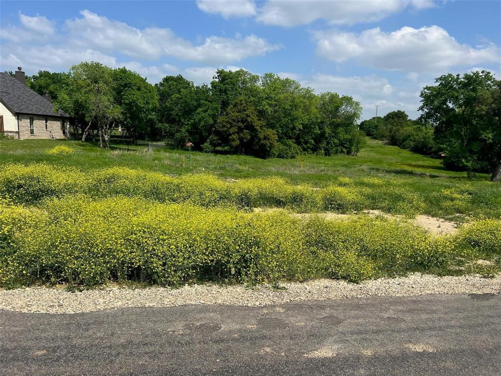 1031 Meadow Wood Terrace Azle, TX 76020 - Photo 3 of 4 a view of a garden with a building in the background