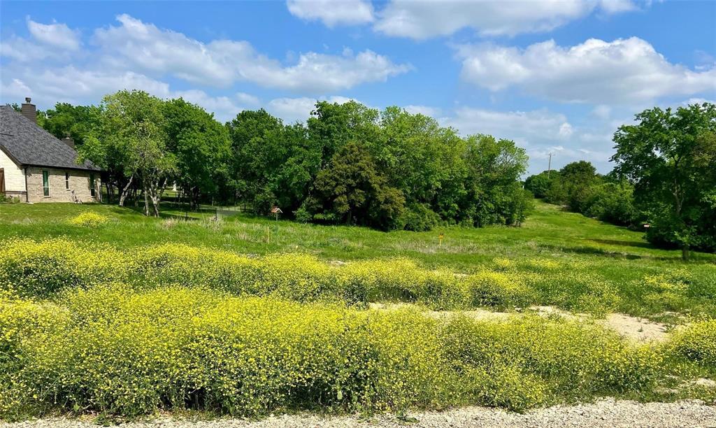 1031 Meadow Wood Terrace Azle, TX 76020 - Photo 4 of 4 a view of a garden with a building