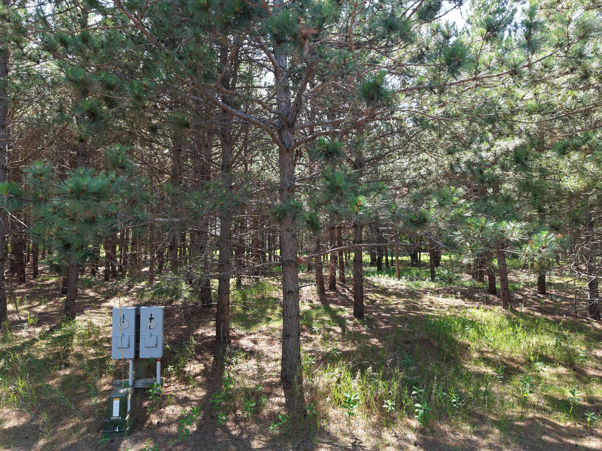 1115 Sunset Loop, Unit 31 Park Rapids, MN 56470 - Photo 1 of 7