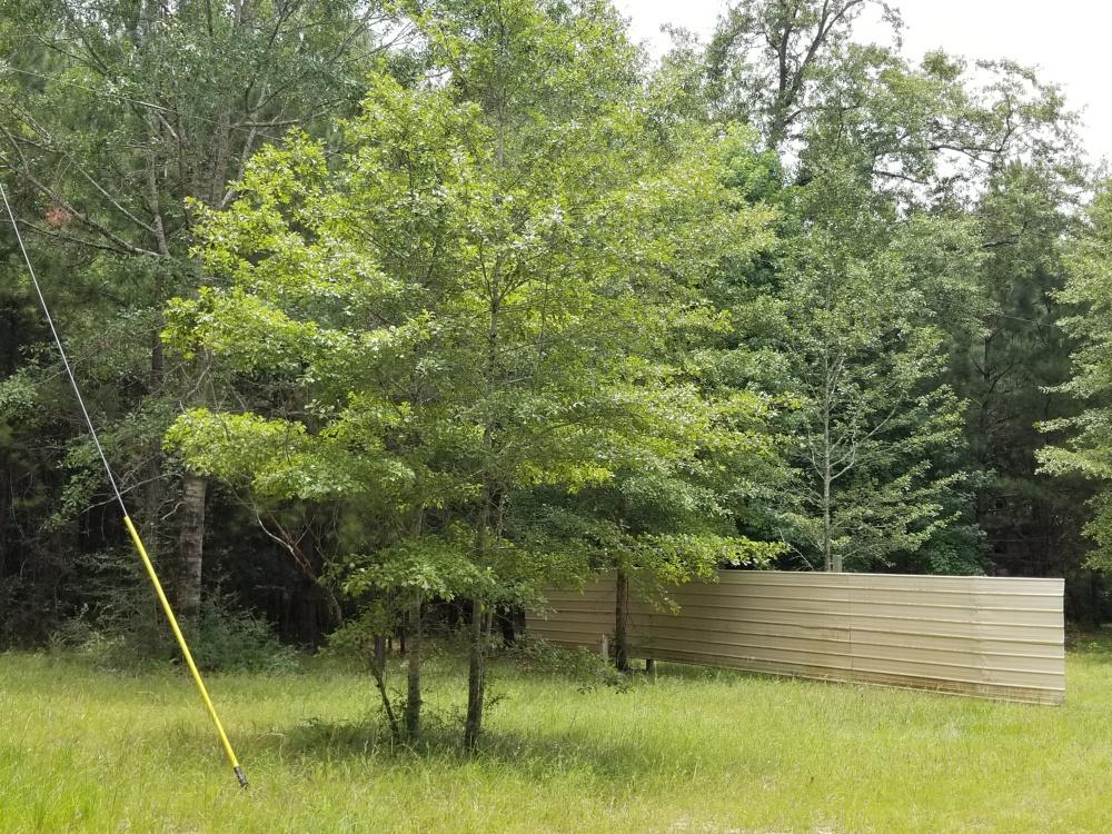 396 Bullard Church Road Baker, FL 32531 - Photo 2 of 8 a view of outdoor space and yard