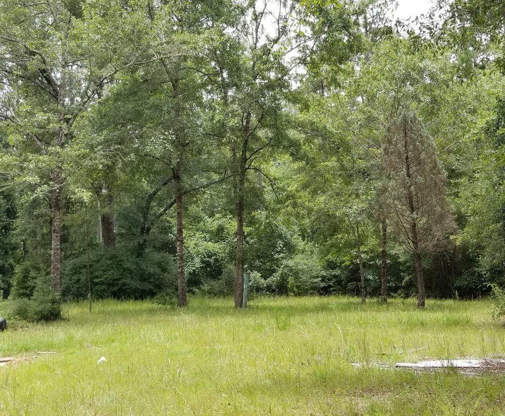 396 Bullard Church Road Baker, FL 32531 - Photo 4 of 8 a view of outdoor space and yard
