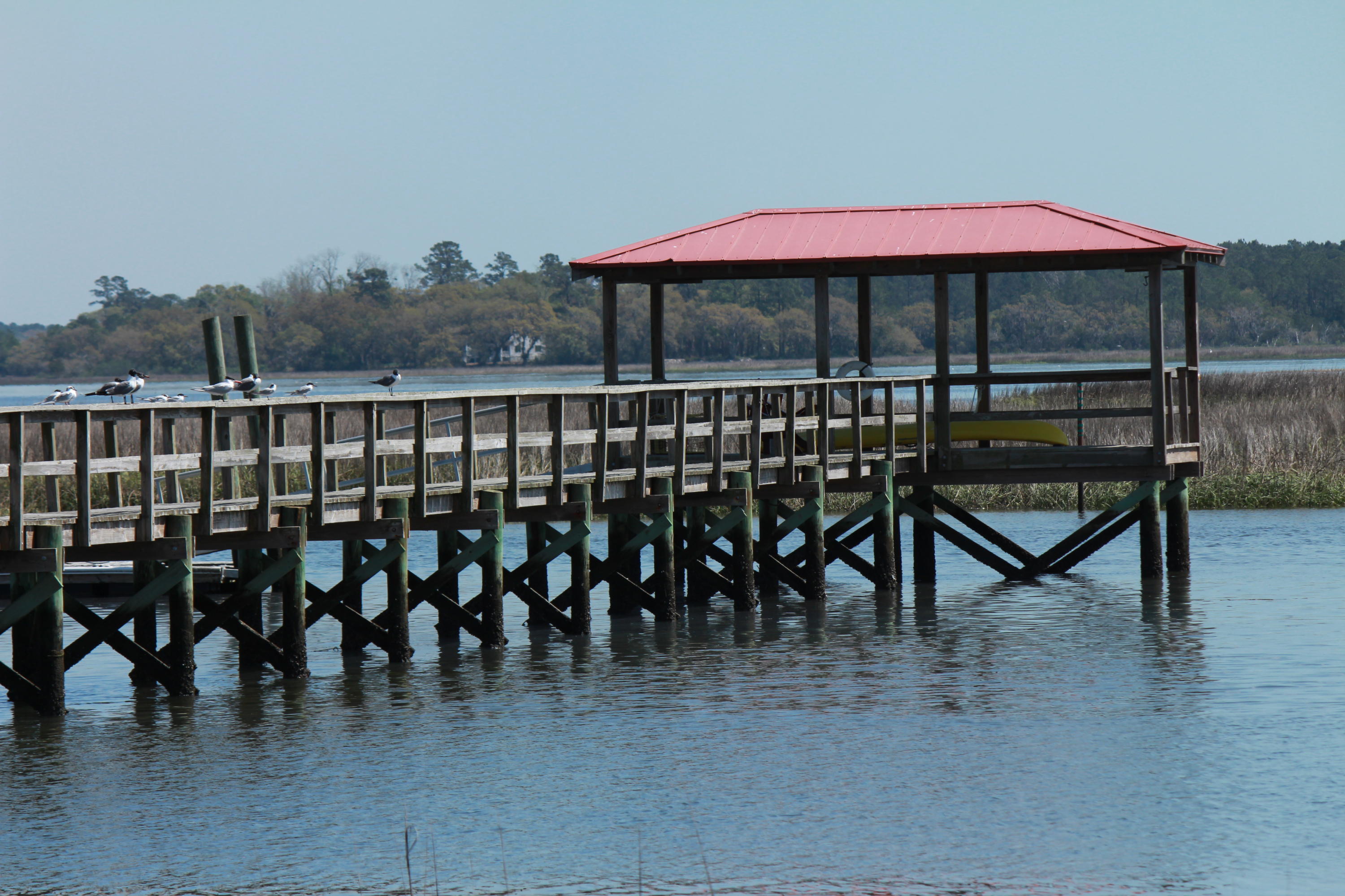 4611 Westervelt Road Meggett, SC 29449 - Photo 14 of 20 IMG_1912