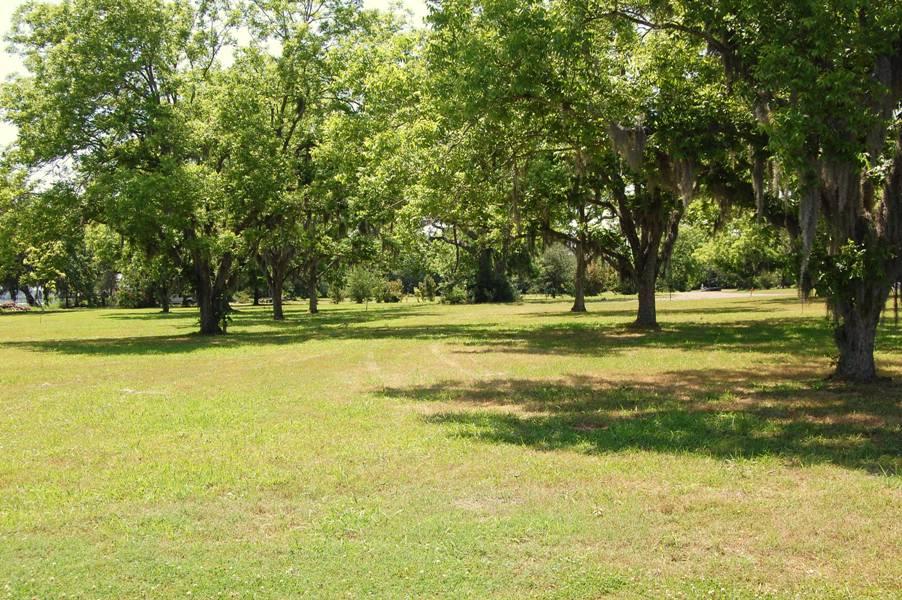 4611 Westervelt Road Meggett, SC 29449 - Photo 6 of 20 DSC_0245