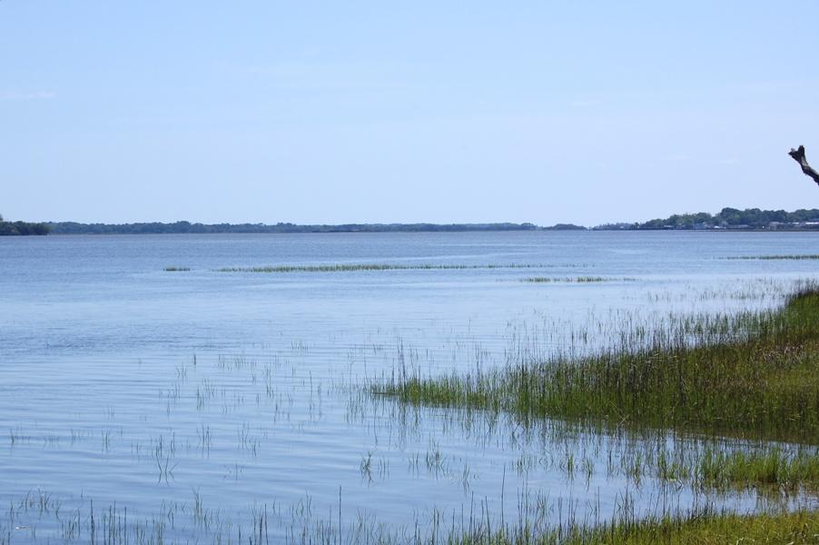 4611 Westervelt Road Meggett, SC 29449 - Photo 8 of 20 DSC_0248