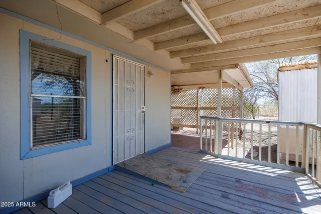 a view of a backyard with potted plants and large tree