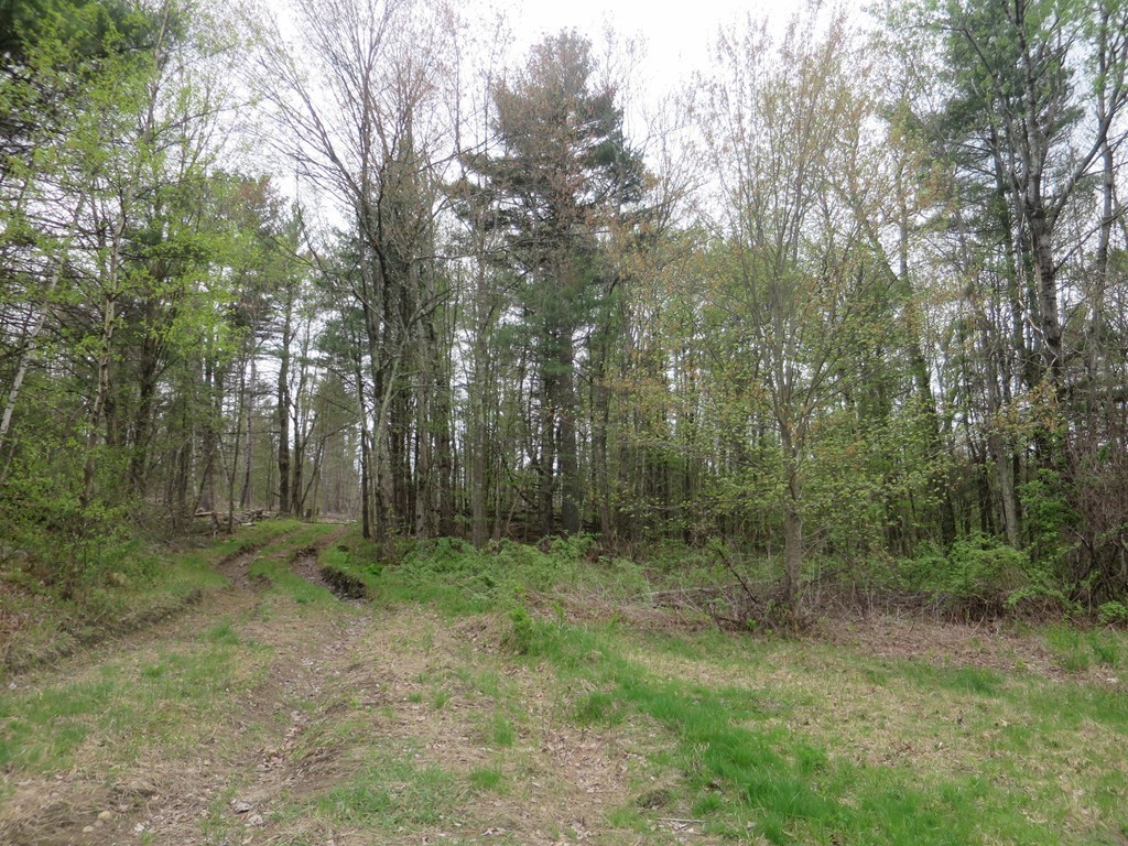 111 Fenton Road Monson, MA 01057 - Photo 12 of 28
