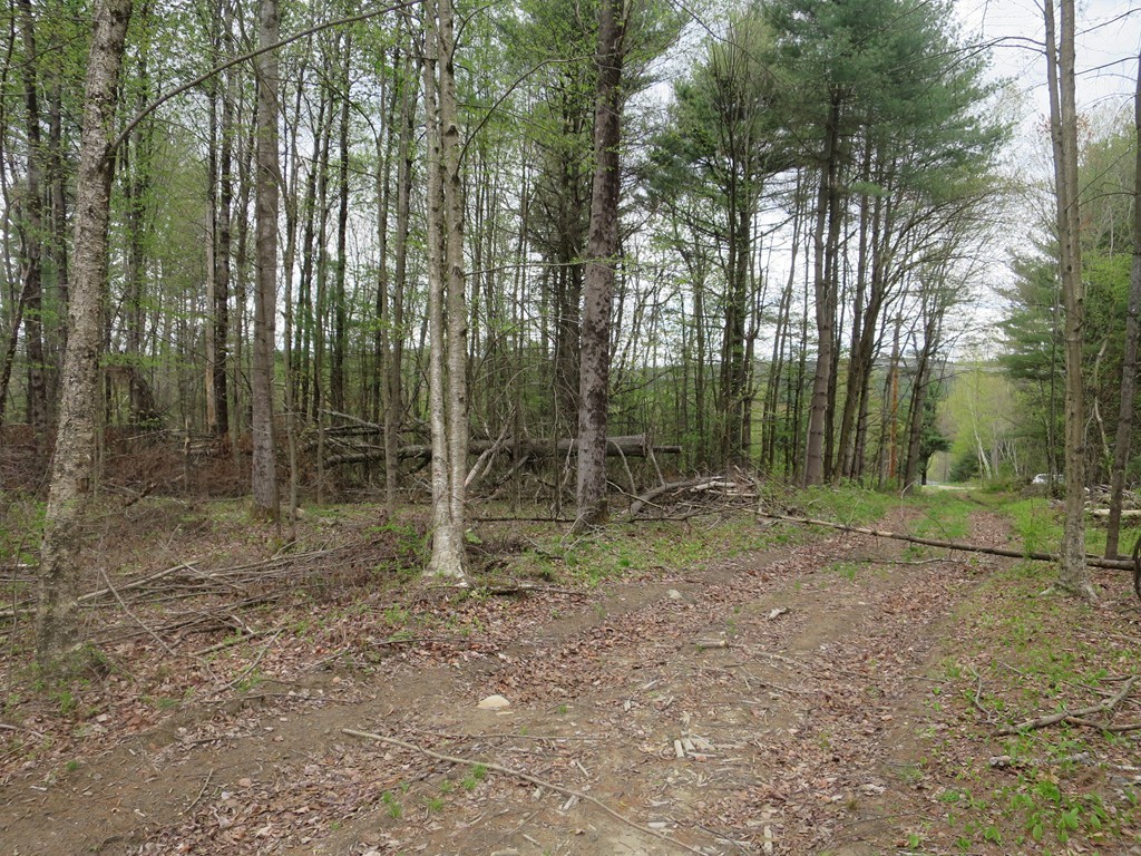 111 Fenton Road Monson, MA 01057 - Photo 13 of 28