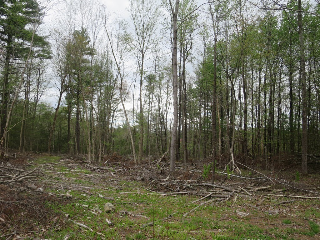 111 Fenton Road Monson, MA 01057 - Photo 14 of 28