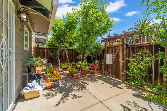 a view of backyard with wheel chair potted plants and large tree