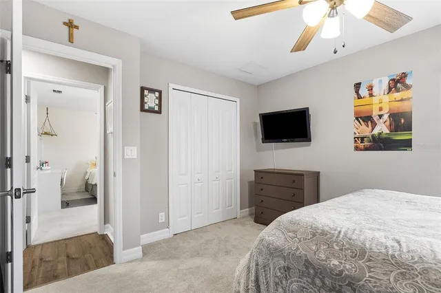 a view of a yard with plants