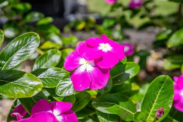 $869,900 | 1282 Clearview Drive, Port Charlotte, FL 33953