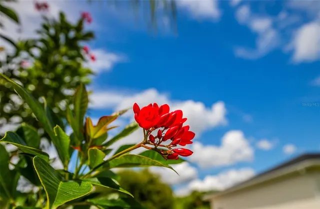 $869,900 | 1282 Clearview Drive, Port Charlotte, FL 33953