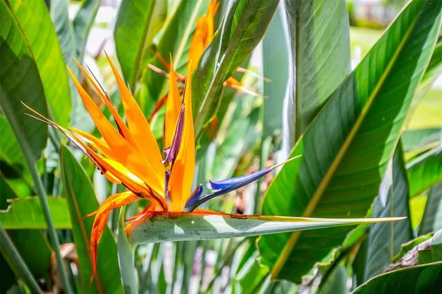 $869,900 | 1282 Clearview Drive, Port Charlotte, FL 33953