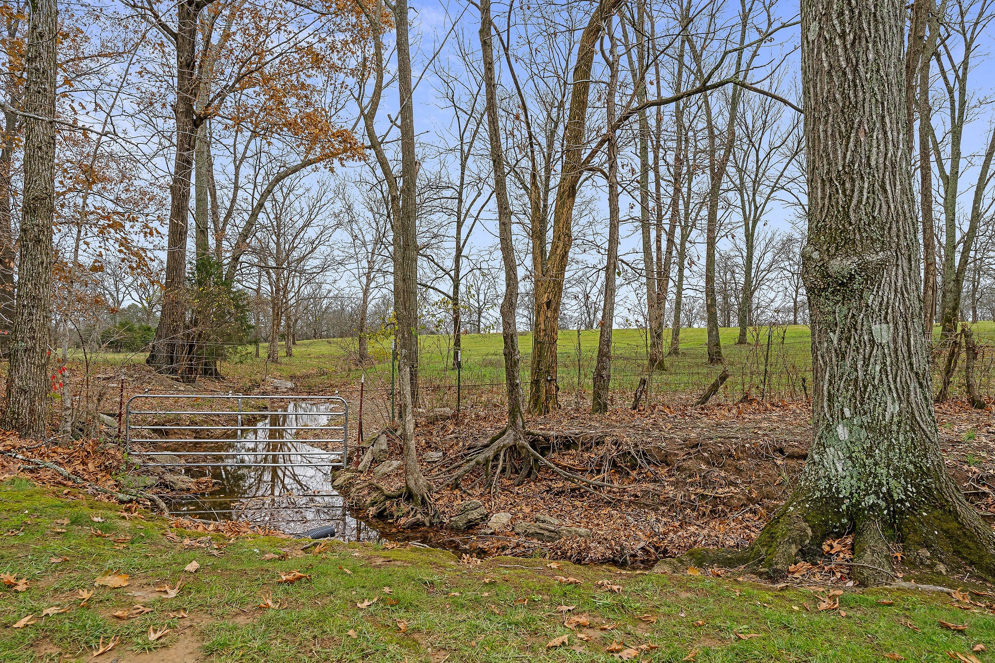 608 Ridgecrest Lane Lebanon, TN 37087 - Photo 49 of 69 View from back of home