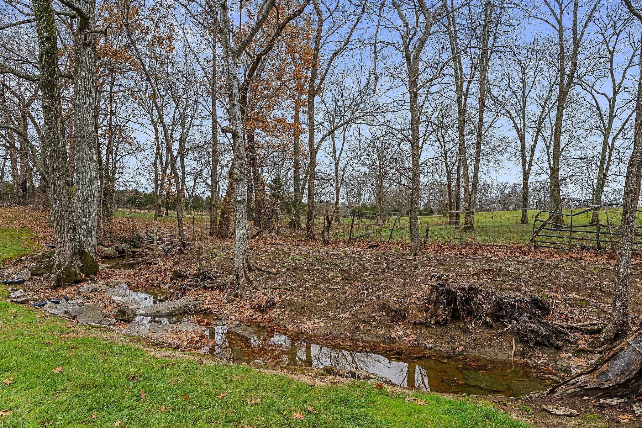 608 Ridgecrest Lane Lebanon, TN 37087 - Photo 50 of 69 Pretty backyard views